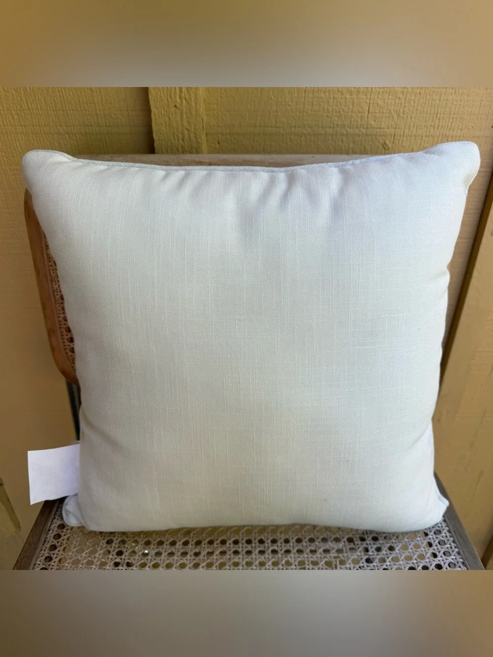 This Classroom Runs on Kindness Decorative Throw Pillow Teacher Classroom Decor